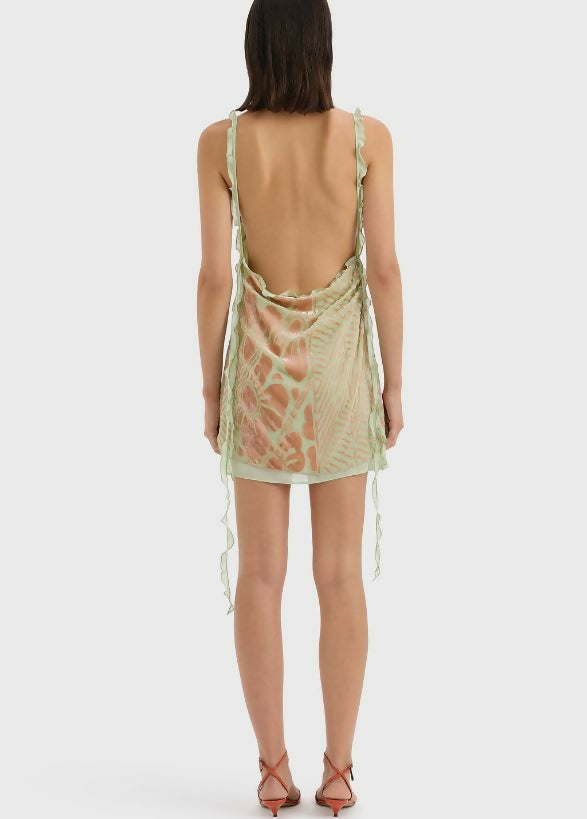 Sir Ventura Mini in Daisy Stripe Size 6, 8, & 10