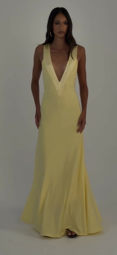 Ance gria Rosa gown Size S