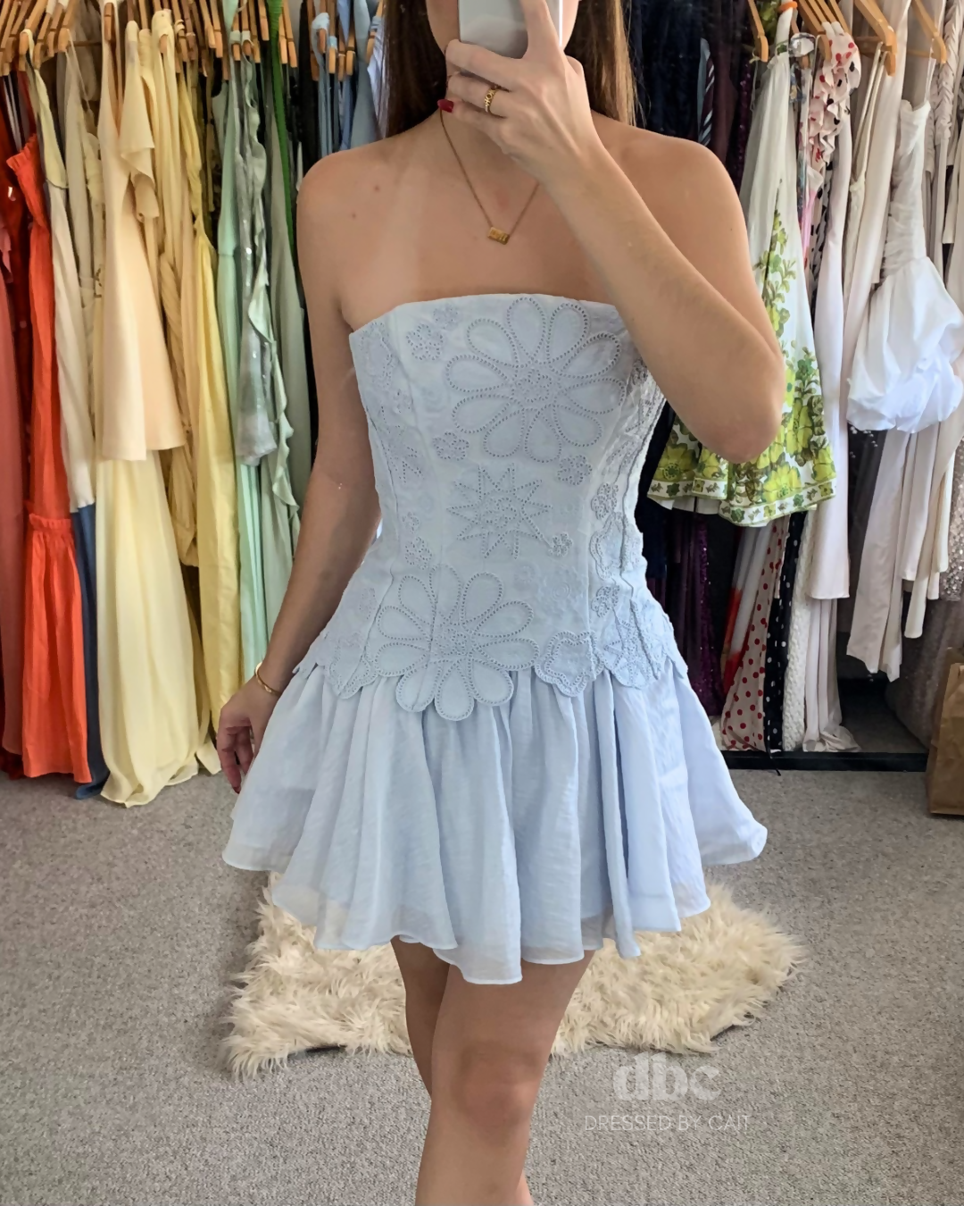 AJE Gia Embroidered Mini