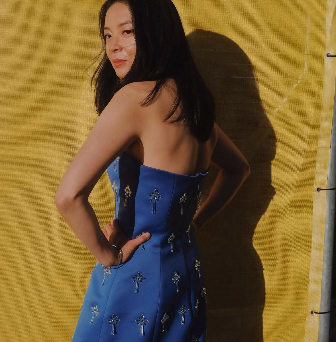 Leo Lin Roselle Embellished Bustier Mini Dress in Sapphire Size 10