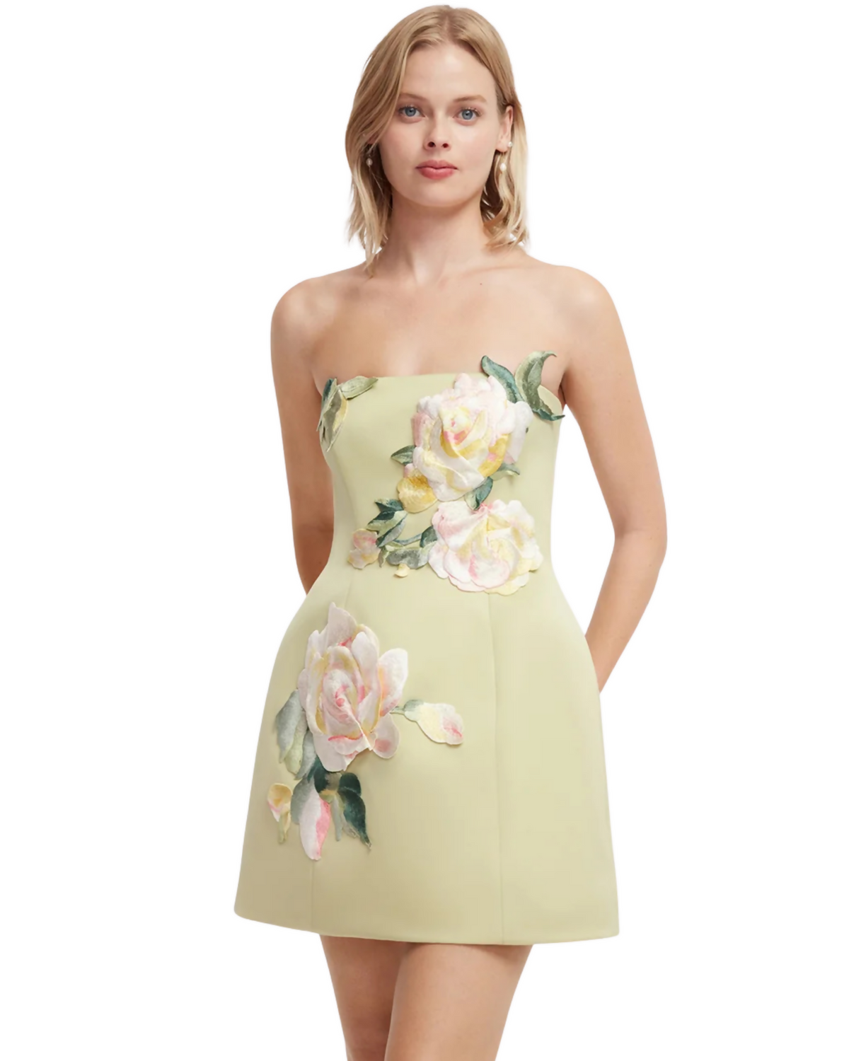 Leo Lin Roselle Embroidered Bustier Mini Dress