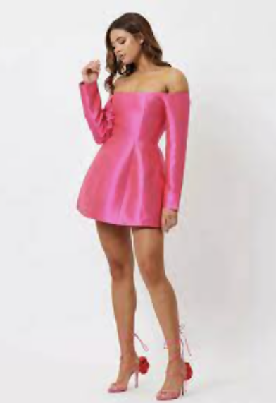 Bianca & Bridgett Michelle Dress size 6