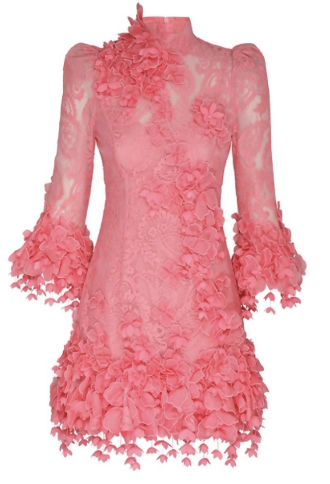 Zimmermann High Tide Lace Mini Dress in Guava size 3 / AU 12